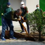 Penanaman Pohon 1 - Hari Lingkungan Dunia