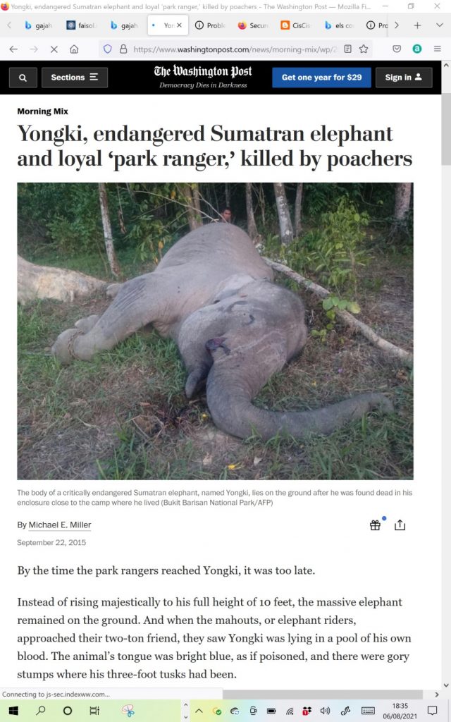 Gajah Yongki Mati Terikat dan Tanpa Gading