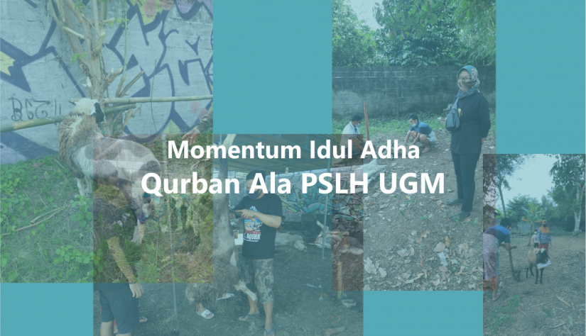 Momentum Idul Adha - Qurban Ala PSLH UGM