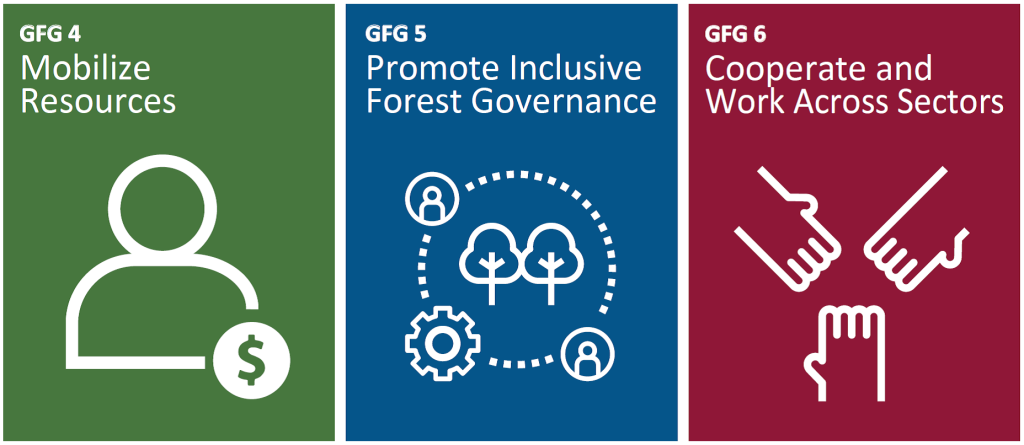 Peringatan Hari Hutan Internasional 6