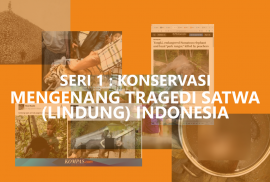 SERI 1 KONSERVASI – MENGENANG TRAGEDI SATWA (LINDUNG) INDONESIA