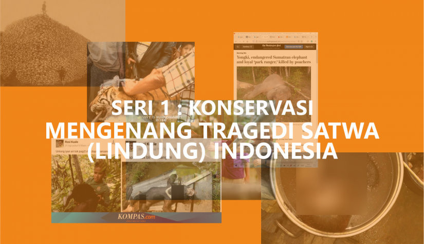 SERI 1 KONSERVASI – MENGENANG TRAGEDI SATWA (LINDUNG) INDONESIA