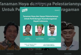 Tanaman Hoya dan Upaya Pelestariannya untuk Perlindungan Keanekaragaman Hayati Indonesia