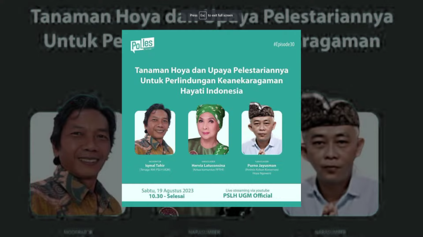 Tanaman Hoya dan Upaya Pelestariannya untuk Perlindungan Keanekaragaman Hayati Indonesia