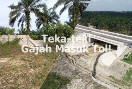 Teka Teki Gajah Masuk Tol 3