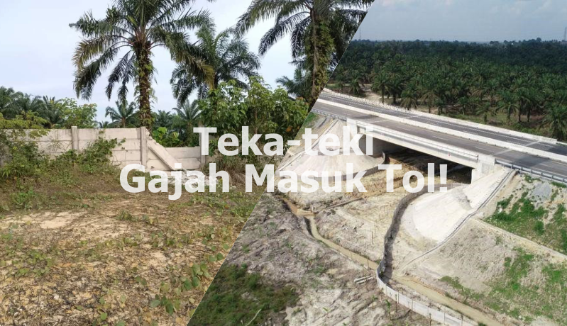 Teka Teki Gajah Masuk Tol 3