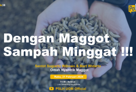 Dengan Maggot Sampah Minggat