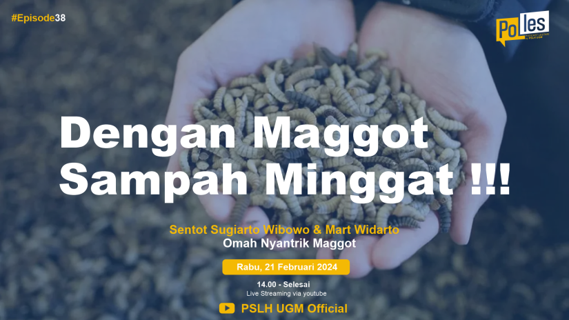 Dengan Maggot Sampah Minggat